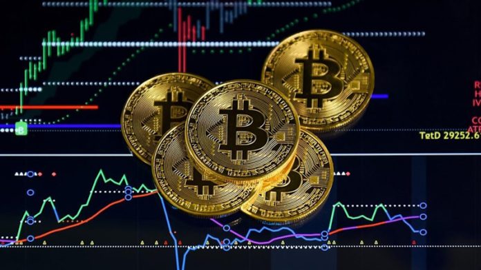 Die Zukunft des Bauens Vertex Trize im Fokus