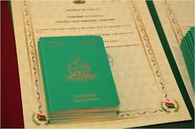 Vanuatu Passport Requirements and Costs Explained Vanuatu Passport Requirements and Costs Explained